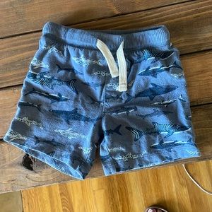 Shorts- Toddler Boy